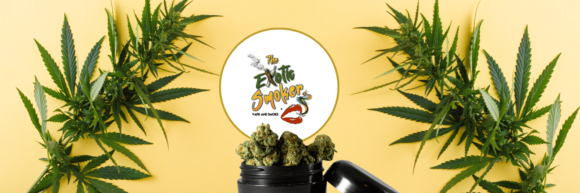 The Exotic Smoker Vape and Smoke Shop logo in the center with two hemp stocks framing the image and buds of hemp flower in a round black container